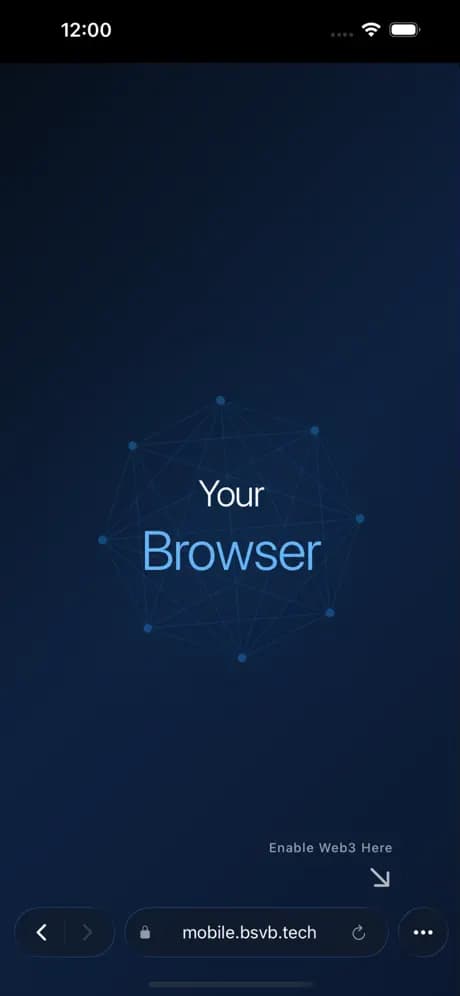 BSV Browser home screen ready to enable Web3
