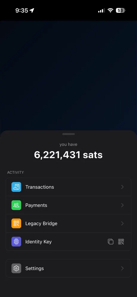 BSV Browser wallet showing balance, payments, and identity key